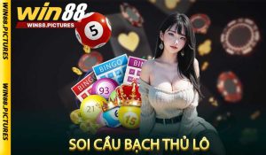 Bạch thủ lô